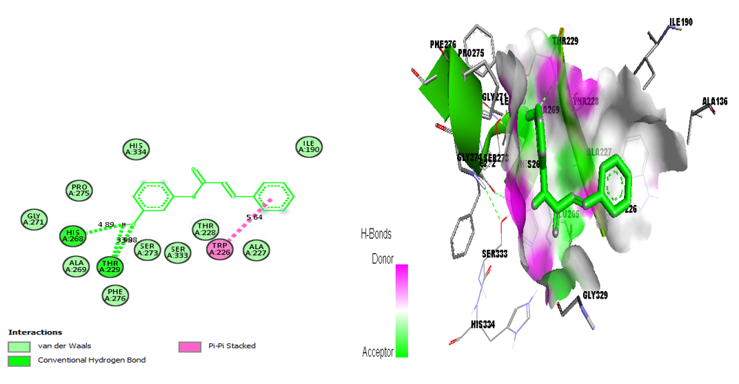2D and 3D Interaction ACCH with Leishmanolysin (ID PDB: 1LML)