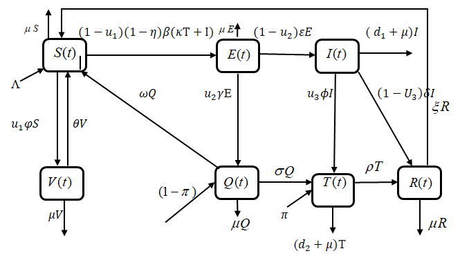 Schematic Diagram of the Model